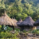 village_kogi-huttes-jungle