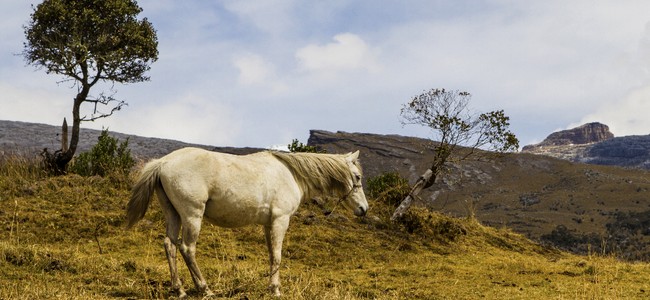 Le parc national El Cocuy