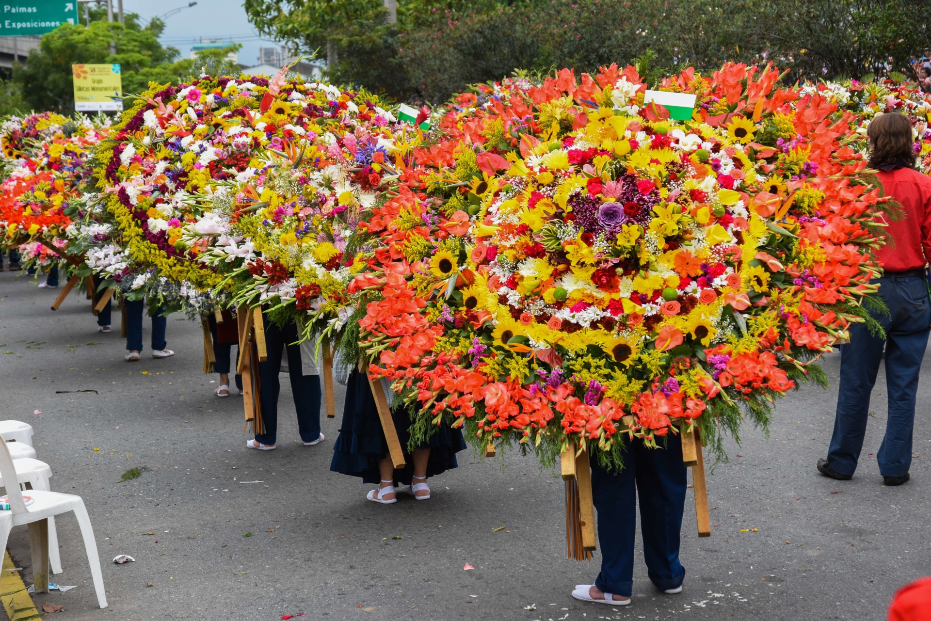 feria-de-las-flores-medellin-colombie-pepicat.jpeg