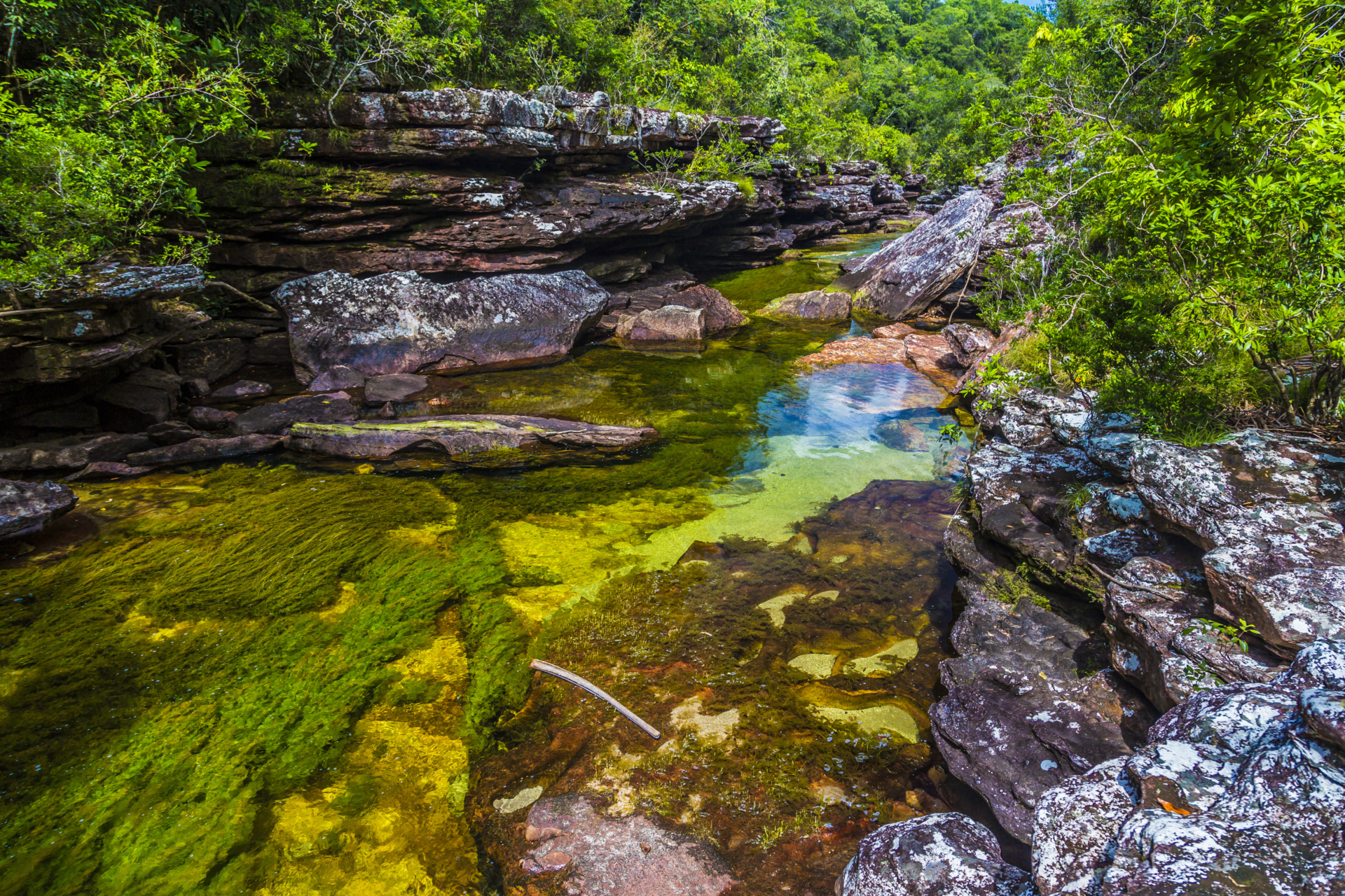 Cano-cristales-rivière-paysage-colombie