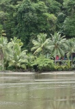 cote-pacifique-jungle-plage-colombie