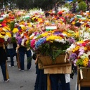 feria-las-flores-medellin-silleteros-colombie