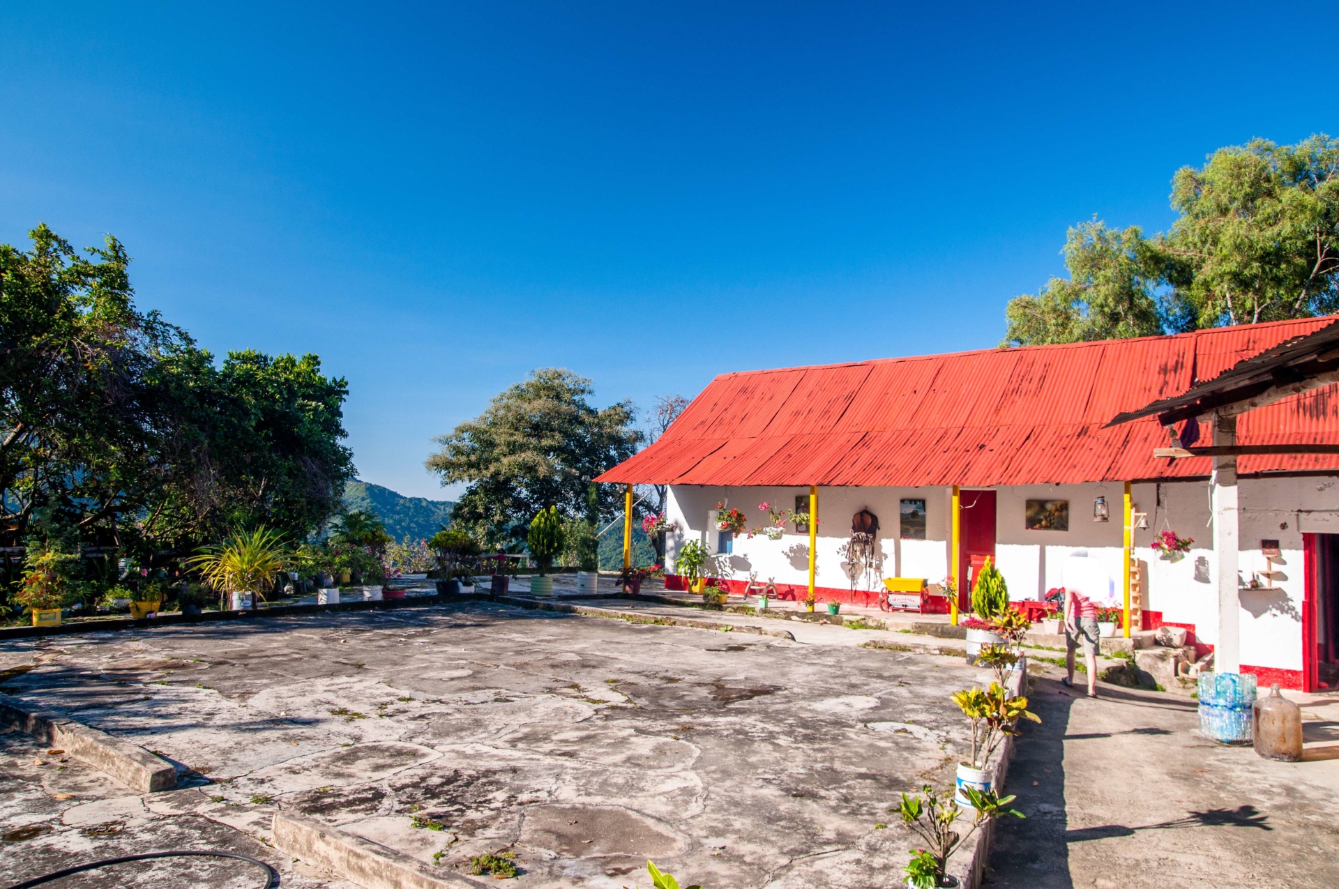 Finca-café-minca-colombie