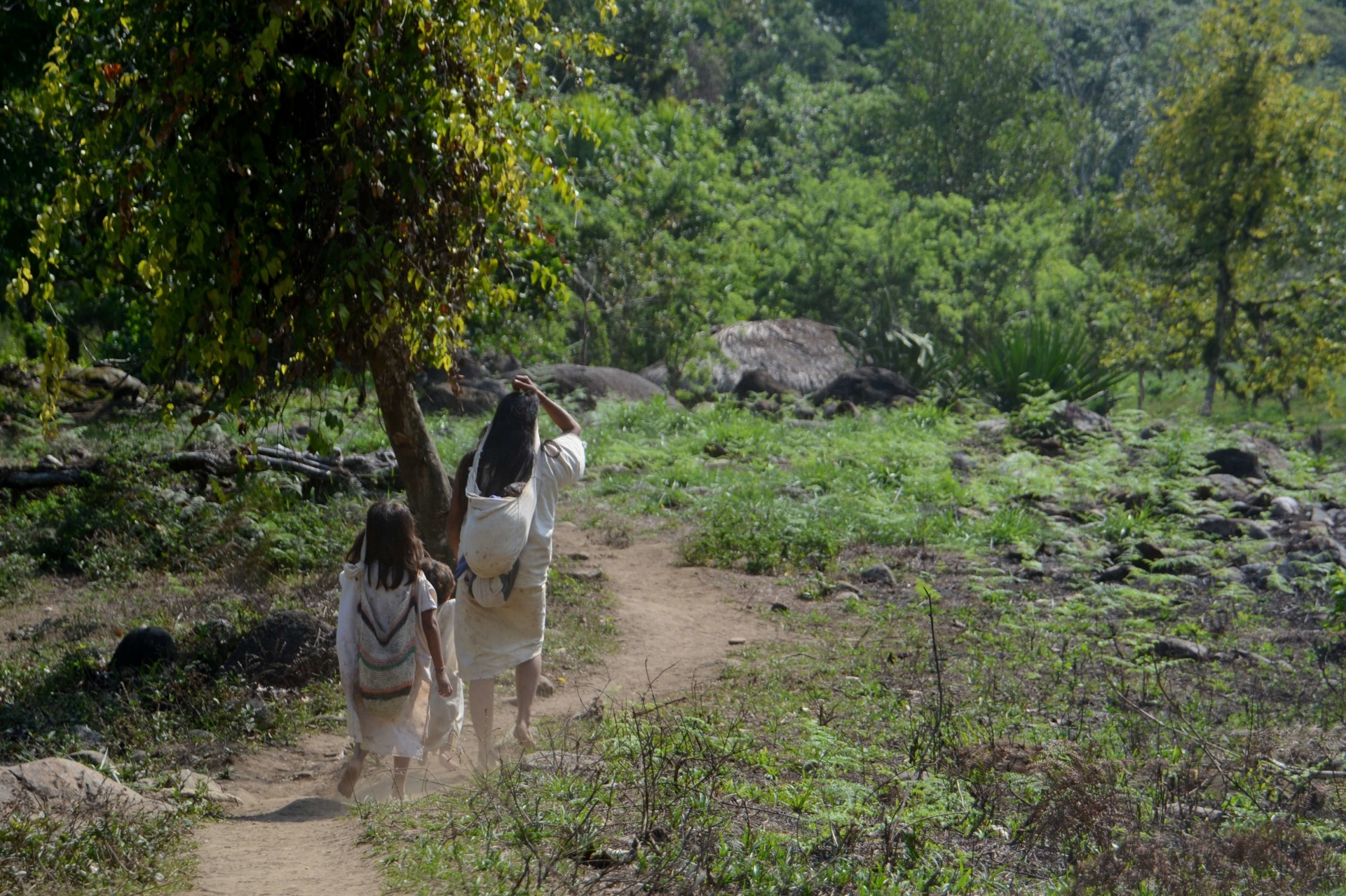 indiens-kogi-sierra-nevada-colombie