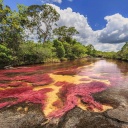 panra-cano-cristales-colombie