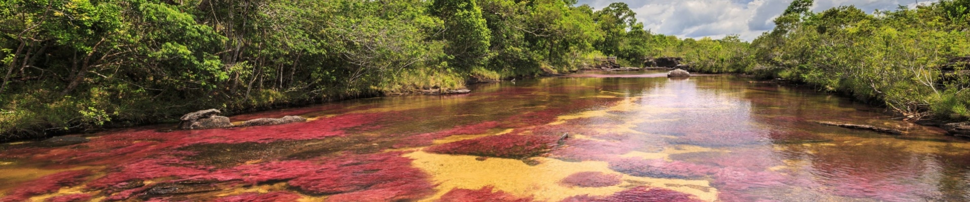 panra-cano-cristales-colombie