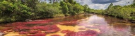 panra-cano-cristales-colombie