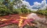 panra-cano-cristales-colombie