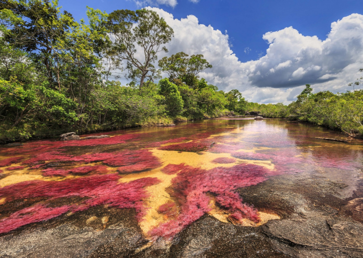 panra-cano-cristales-colombie