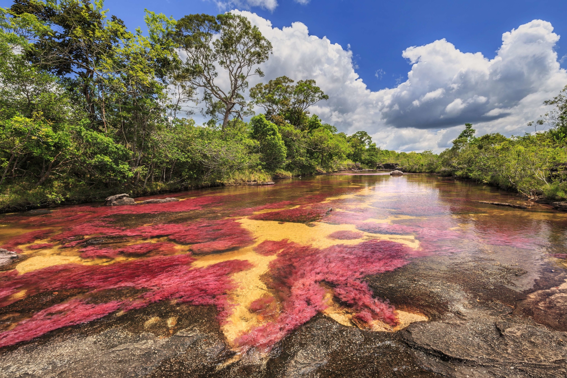 photo voyage colombie