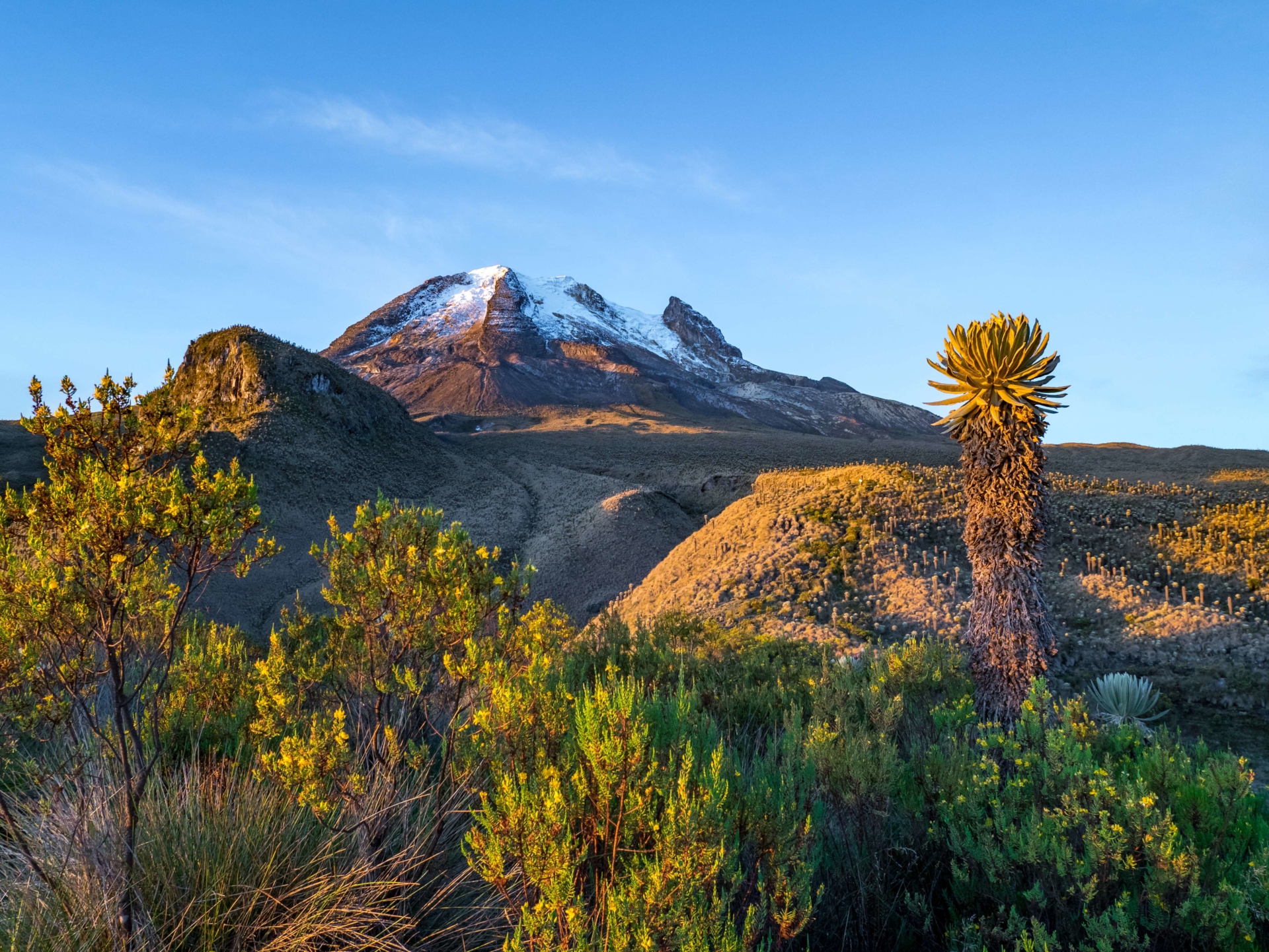 Parc-national-los-nevados-colombie