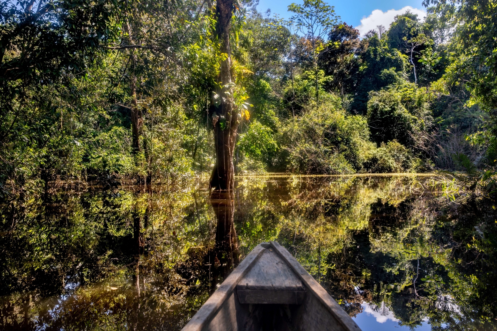 pirogue-foret-amazonienne