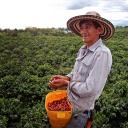 producteur-homme-café-colombie