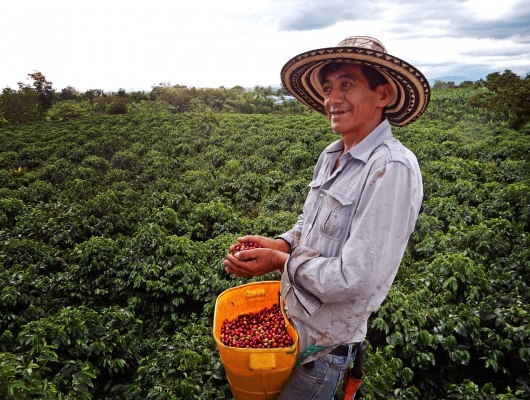 producteur-homme-café-colombie