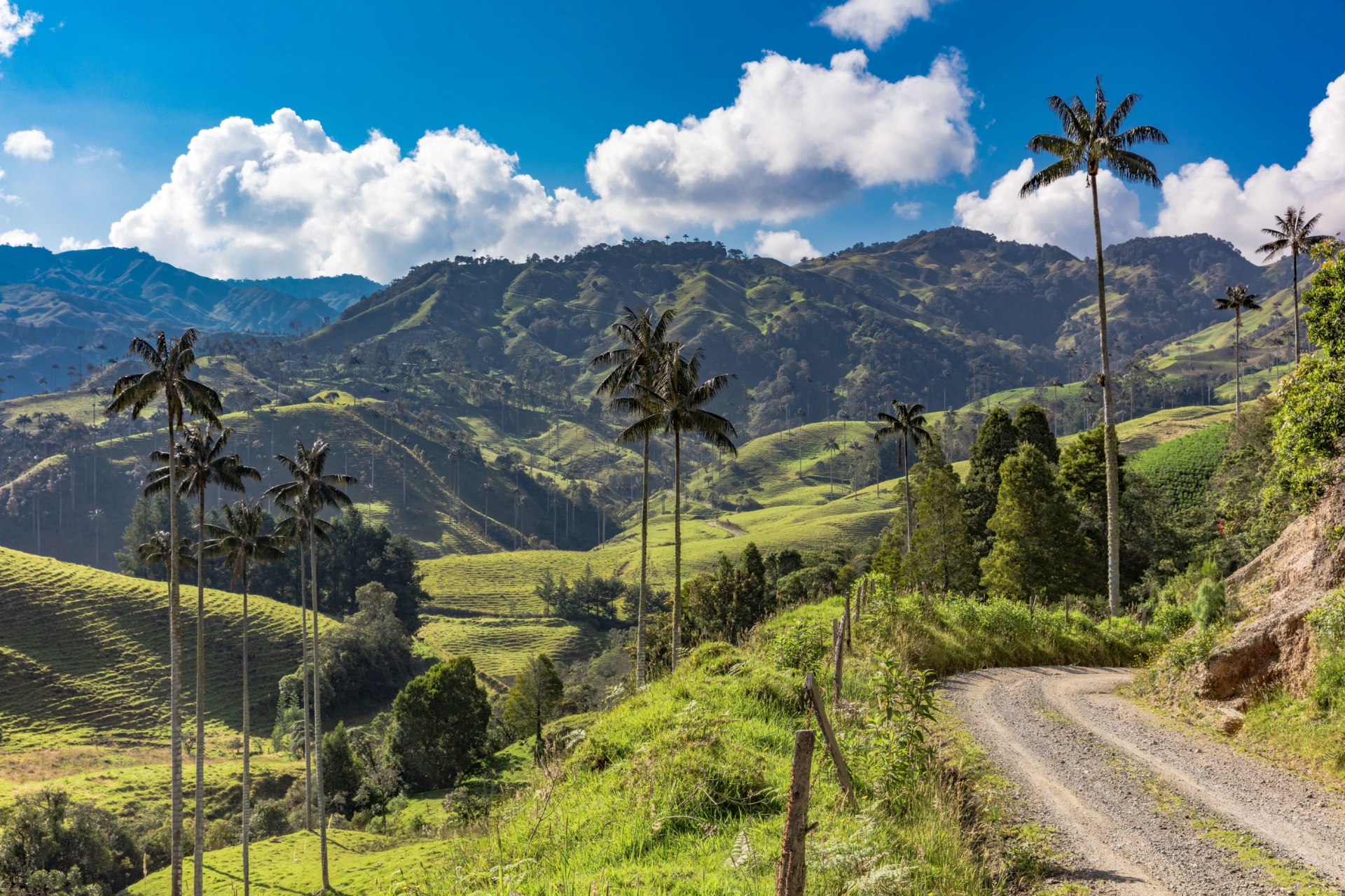 région-du-café-vallée-verdoyante-colombie