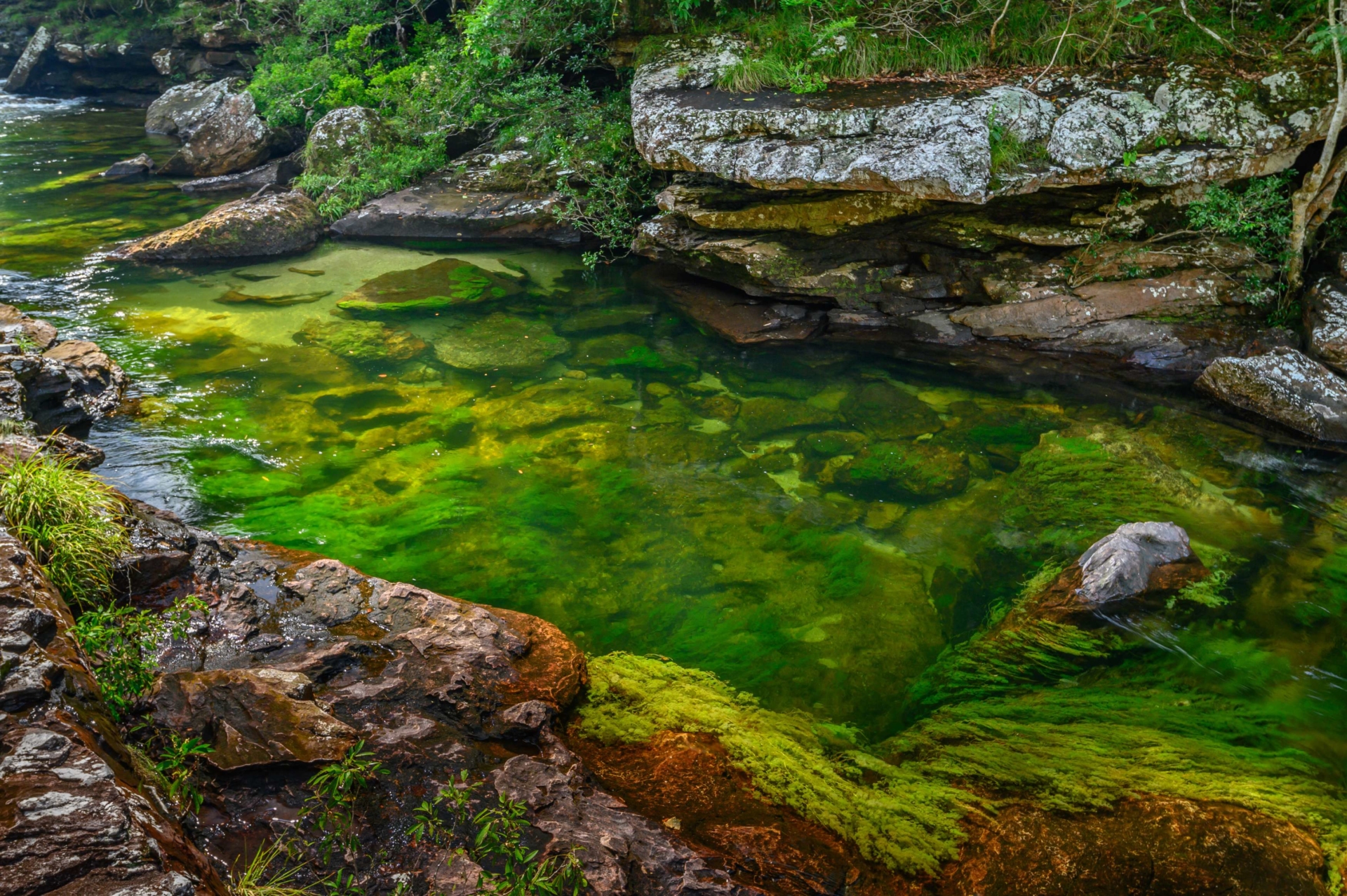 rivière-cinq-couleurs-cano-cristales-colombie