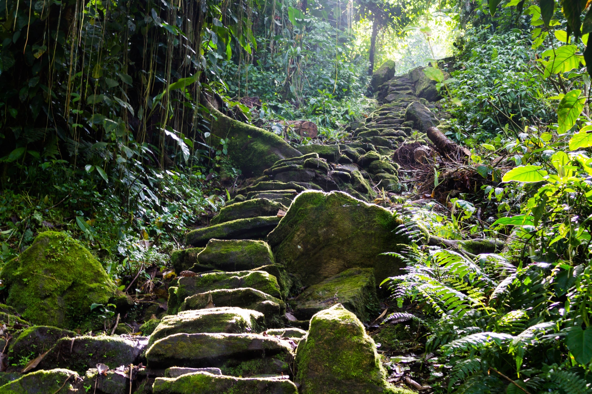trek-cite-perdue-colombie