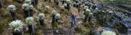 trek-femme-paramo-ande-oceta-bogota-colombie