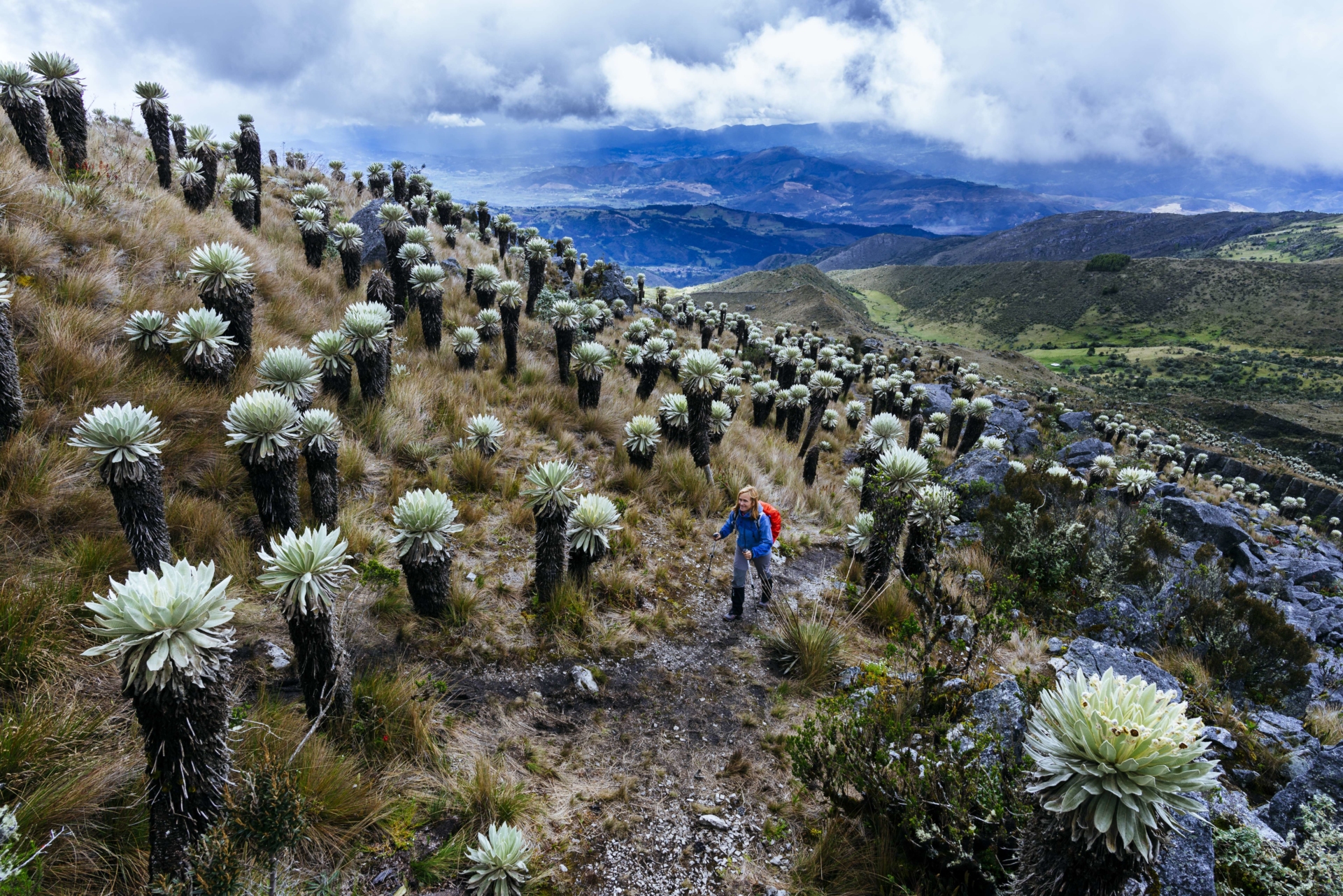 trek-femme-paramo-ande-oceta-bogota-colombie