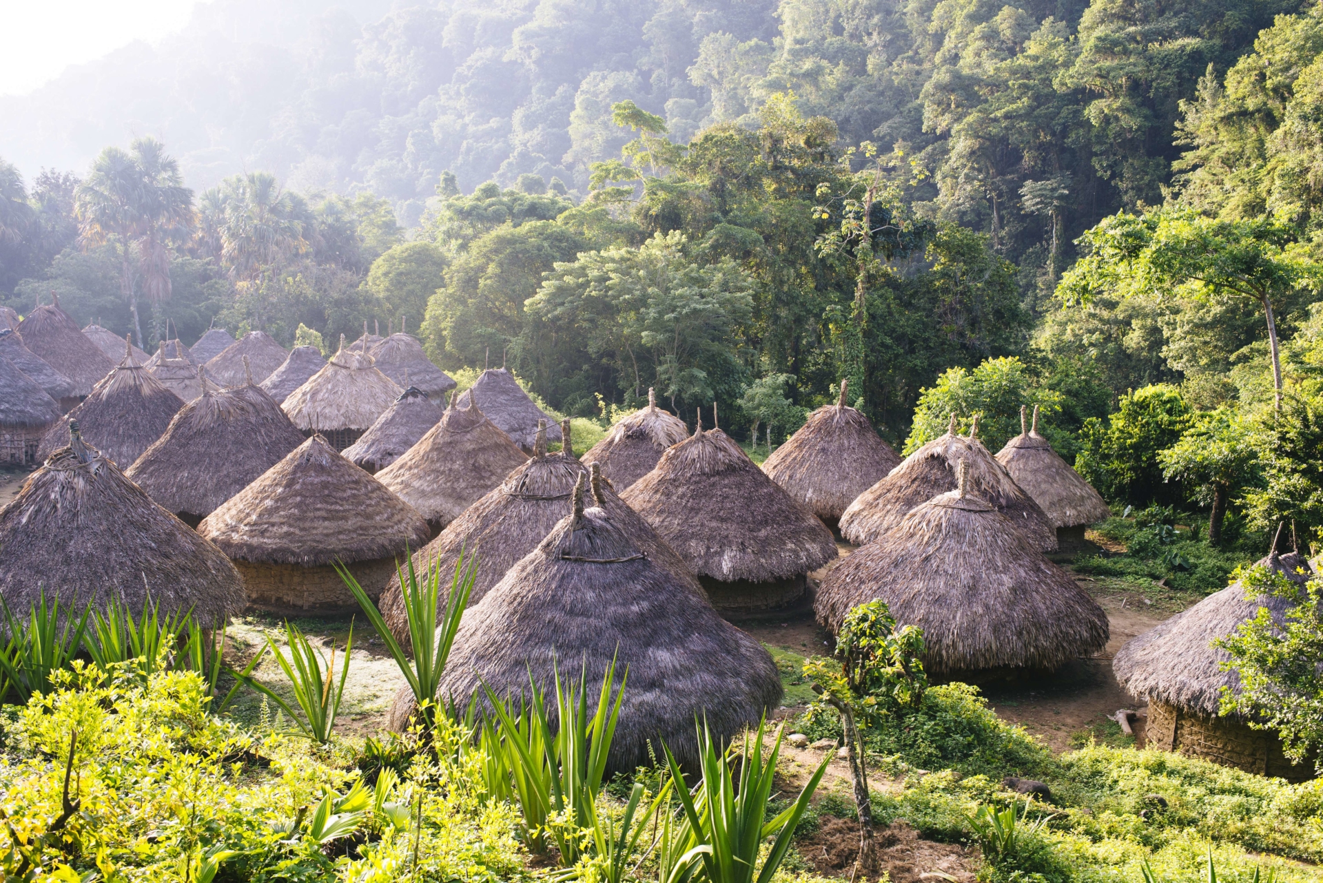 village-kogi-huttes-colombie