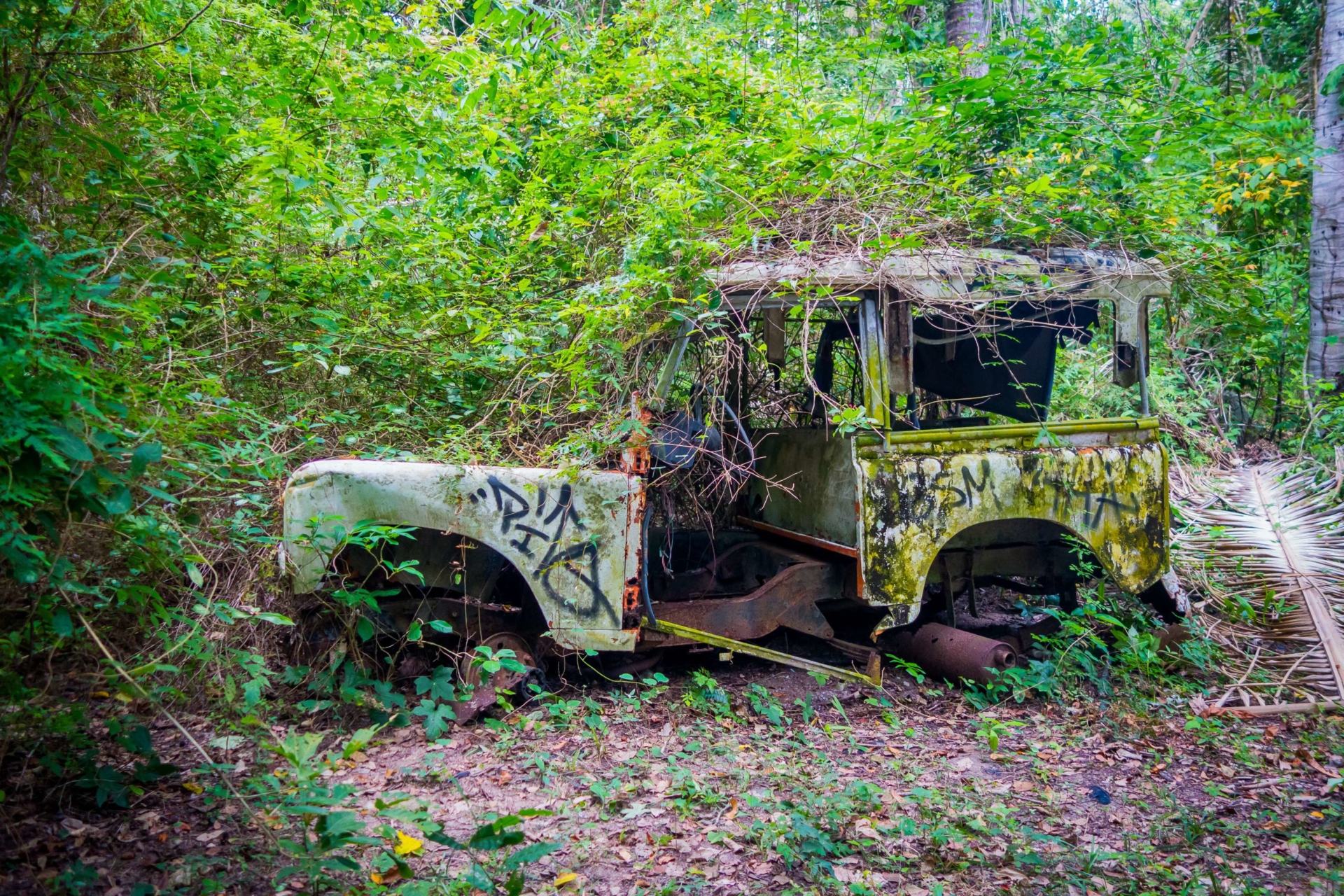 voiture-abandonnée-jungle-colombie