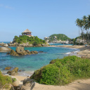 colombie-tayrona-avis